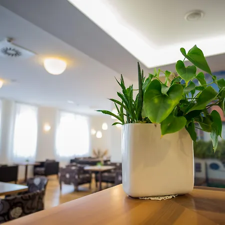 酒店 包玛利博酒店